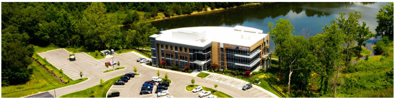 Read more about the article Mindel Scott – What We Do